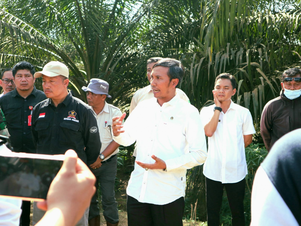 Ketua DPRD Provinsi Jambi Edi Purwanto turun ke kawasan perkebunan sawit PT Berkat Sawit Utama (BSU) di Desa Bungku, Kecamatan Bajubang, Kabupaten Batanghari, Rabu (31/8/2022).