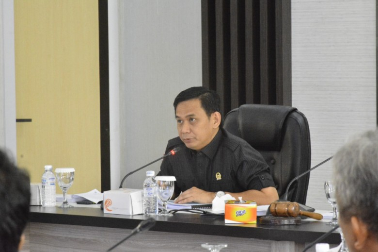 Wakil Ketua DPRD Faisal Riza