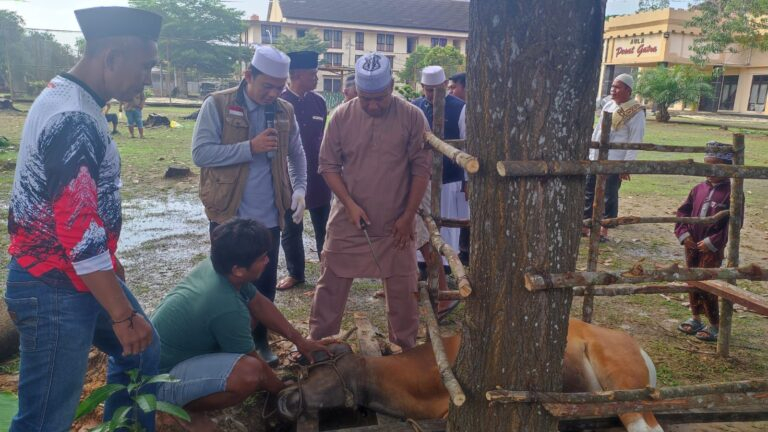 Idul Adha 1445 H, Mako Brimob Polda Jambi Sembelih 12 Ekor Hewan Kurban.