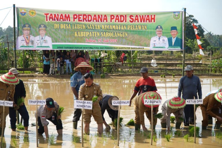 Tanam Padi di Lubuk Sayak Sarolangun, Al Haris Berikan Alsintan untuk Tingkatkan Produksi Pertanian. Foto dok Kominfo Provinsi Jambi