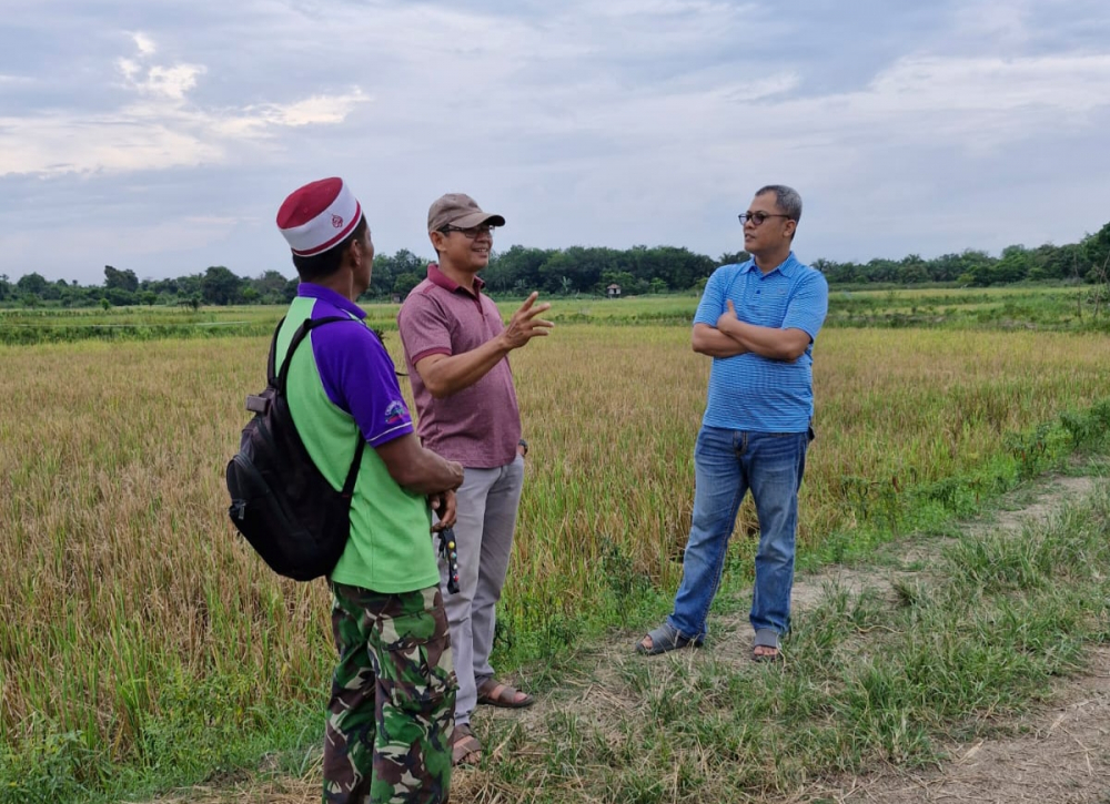 Dukung Swasembada Pangan, Anggota DPRD Provinsi Jambi Apresiasi Semangat Poktan Kelola Sawah. Foto dok Humas DPRD Jambi